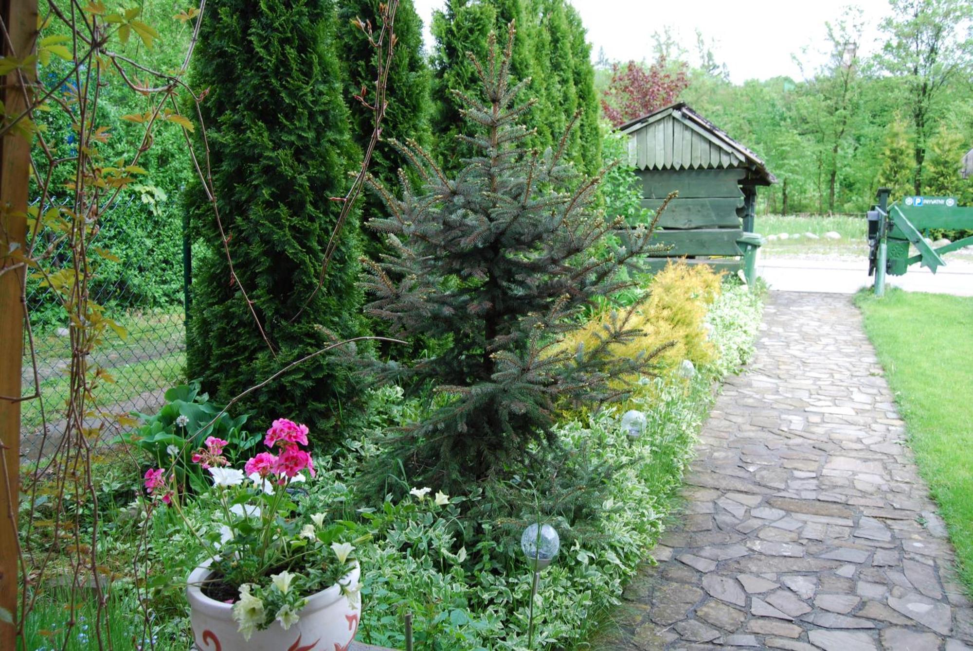 Bed & Breakfast Pod Bandera