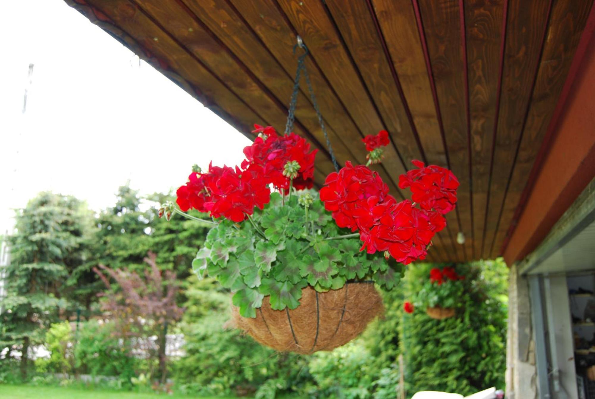 Pod Bandera Bed & Breakfast Zakopane