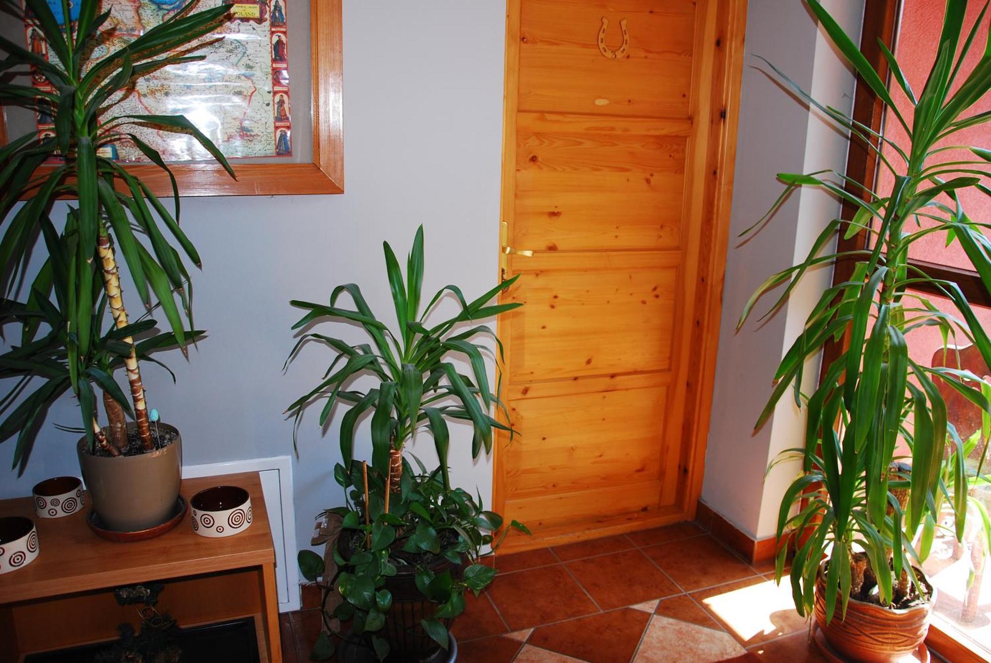 Pod Bandera Bed & Breakfast