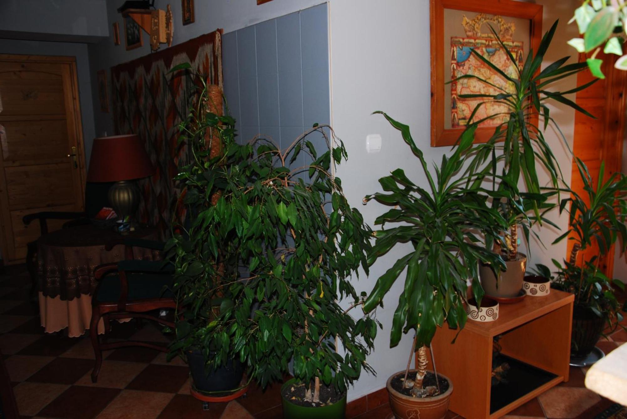 Bed & Breakfast Pod Bandera 3*